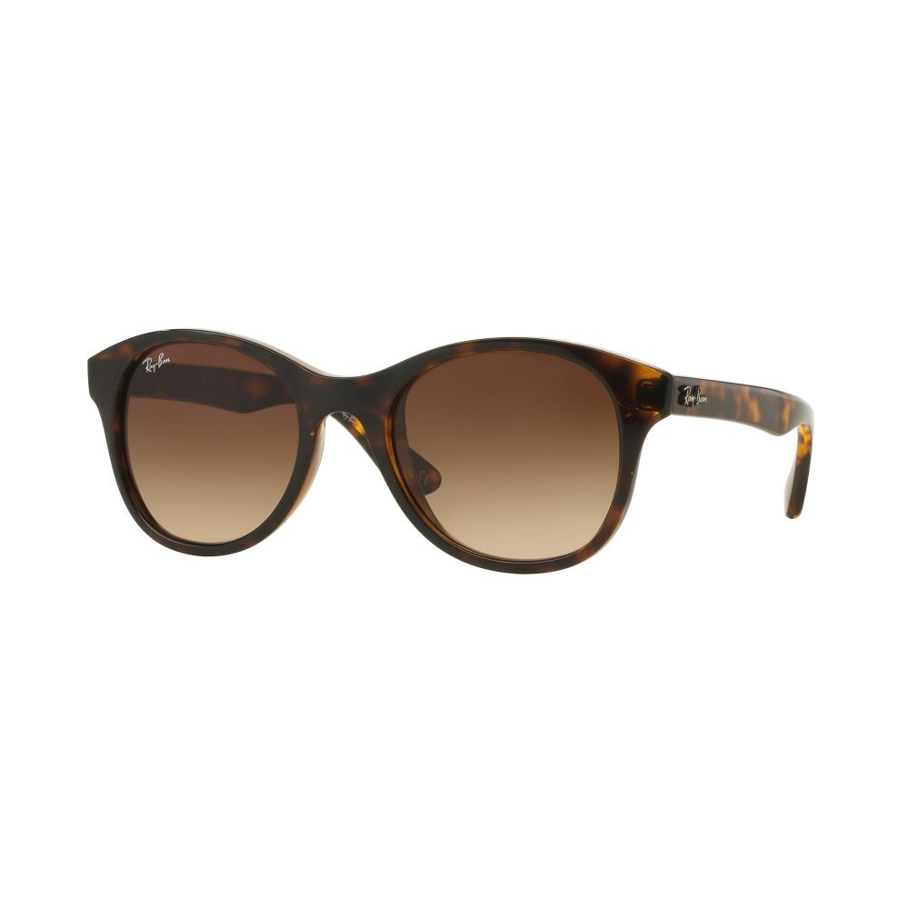 Ray-Ban Сонечныя акуляры PLASTIC ROUND RB 4203 710/13