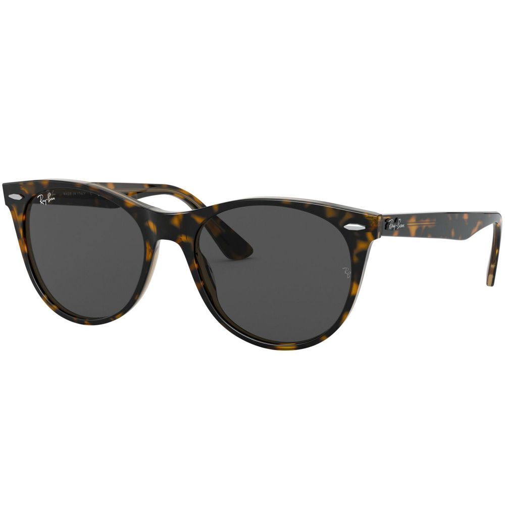 Ray-Ban Слънчеви очила WAYFARER II RB 2185 EVOLVE LENSES 1292/B1 A