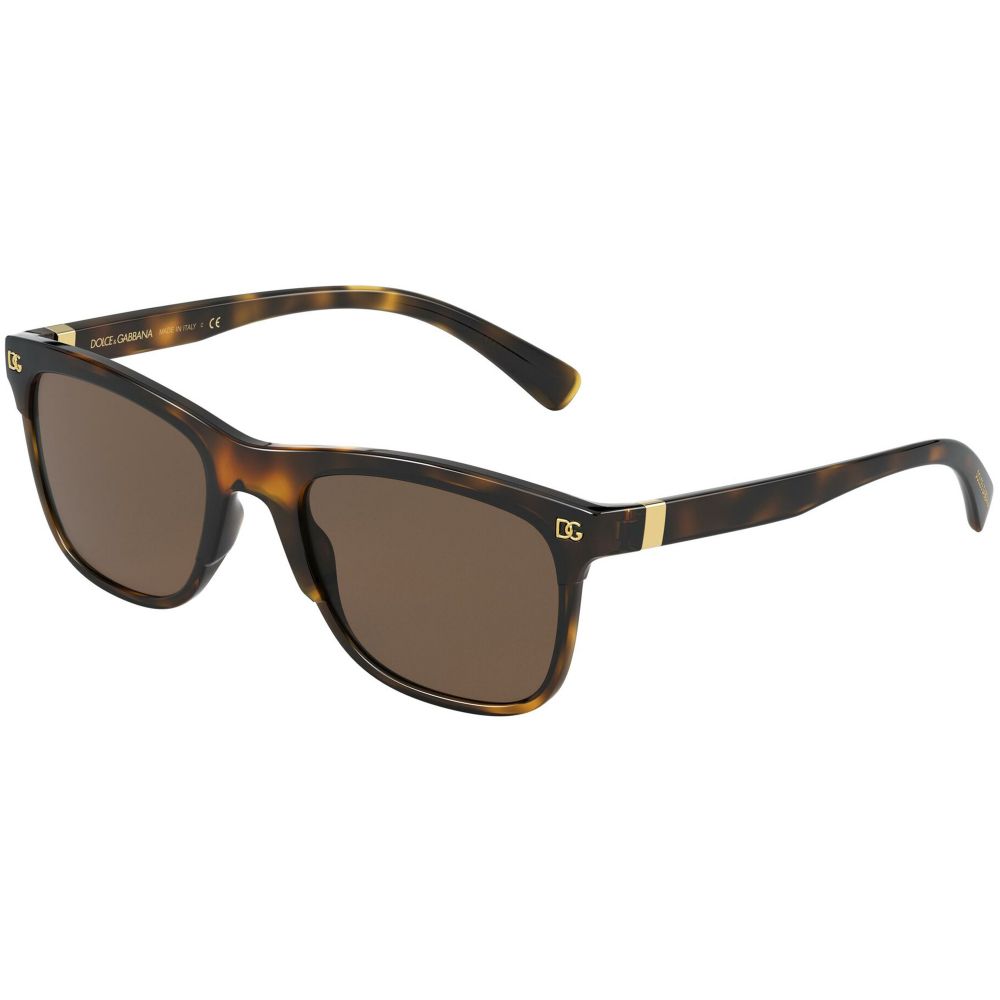 Dolce & Gabbana Sluneční brýle DG MONOGRAM DG 6139 502/73