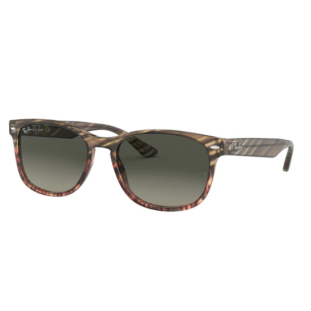 Ray-Ban Solbriller RB 2184 1254/71