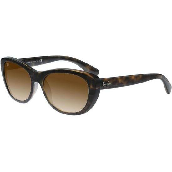 Ray-Ban Solbriller RB 4227 710/13