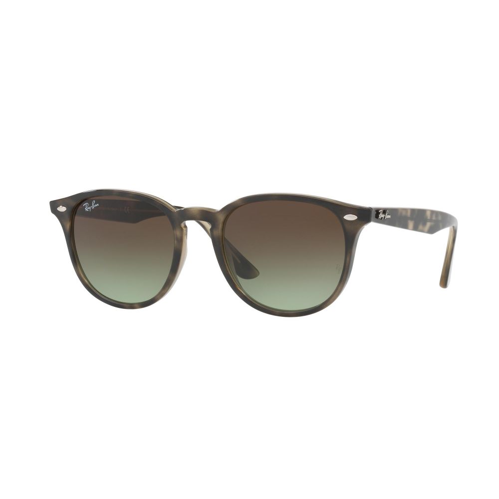 Ray-Ban Solbriller RB 4259 731/E8