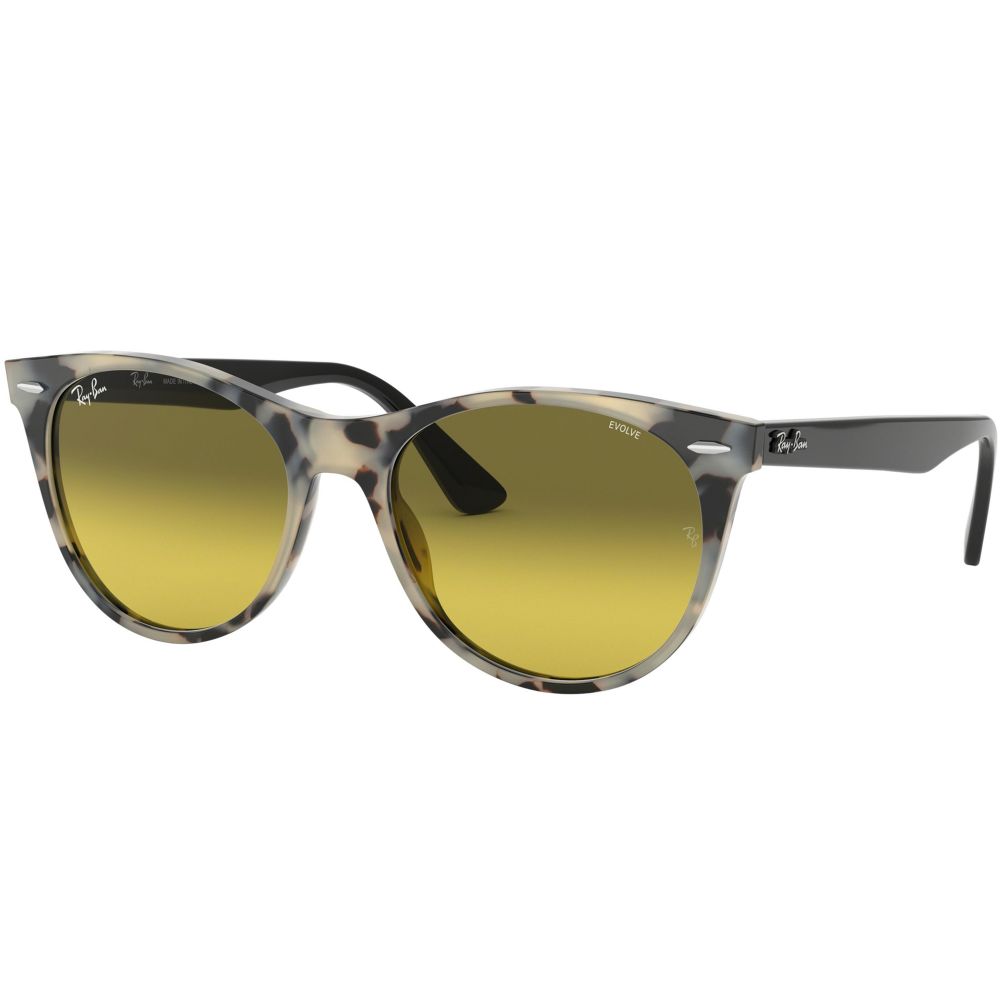 Ray-Ban Solbriller WAYFARER II RB 2185 EVOLVE LENSES 1251/AB