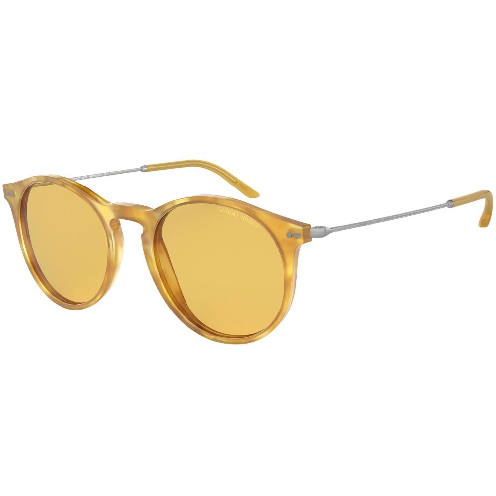 Giorgio Armani Sonnenbrille AR 8121 5761/85