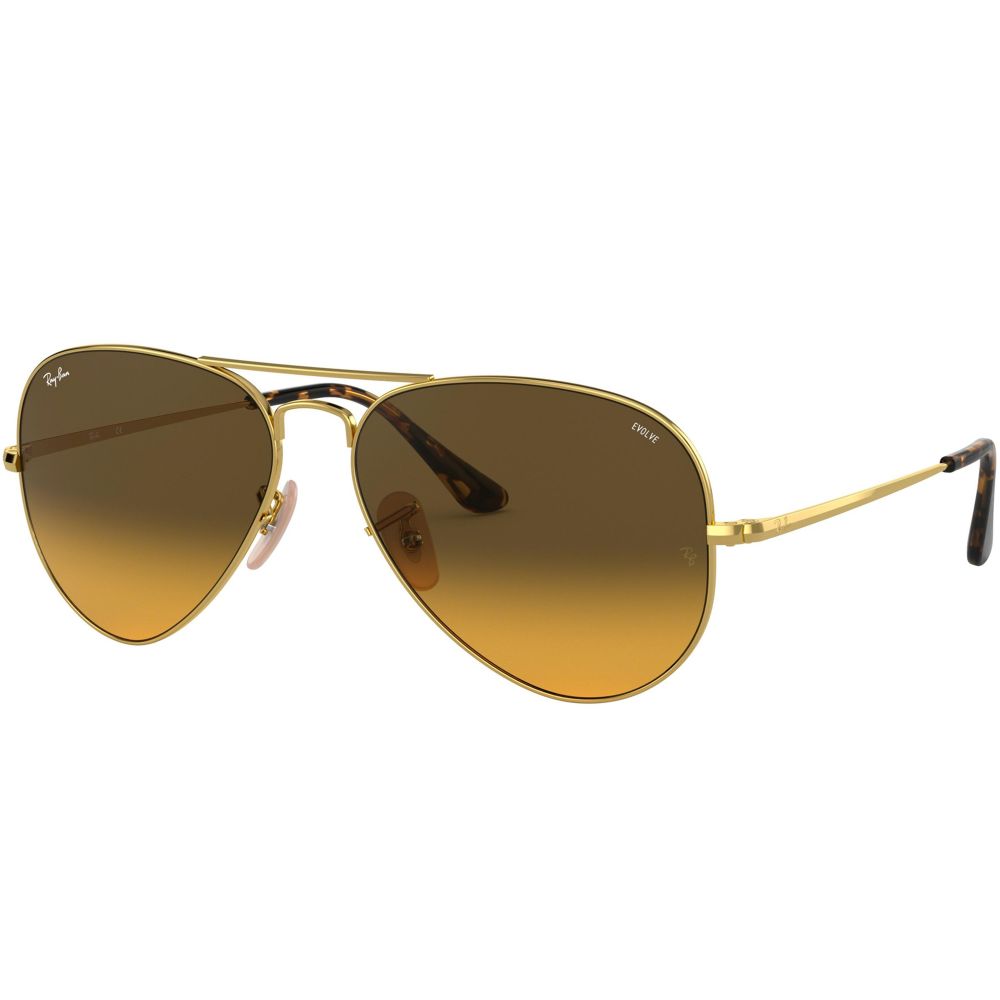 Ray-Ban Γυαλιά ηλίου RB 3689 EVOLVE LENSES 9150/AC