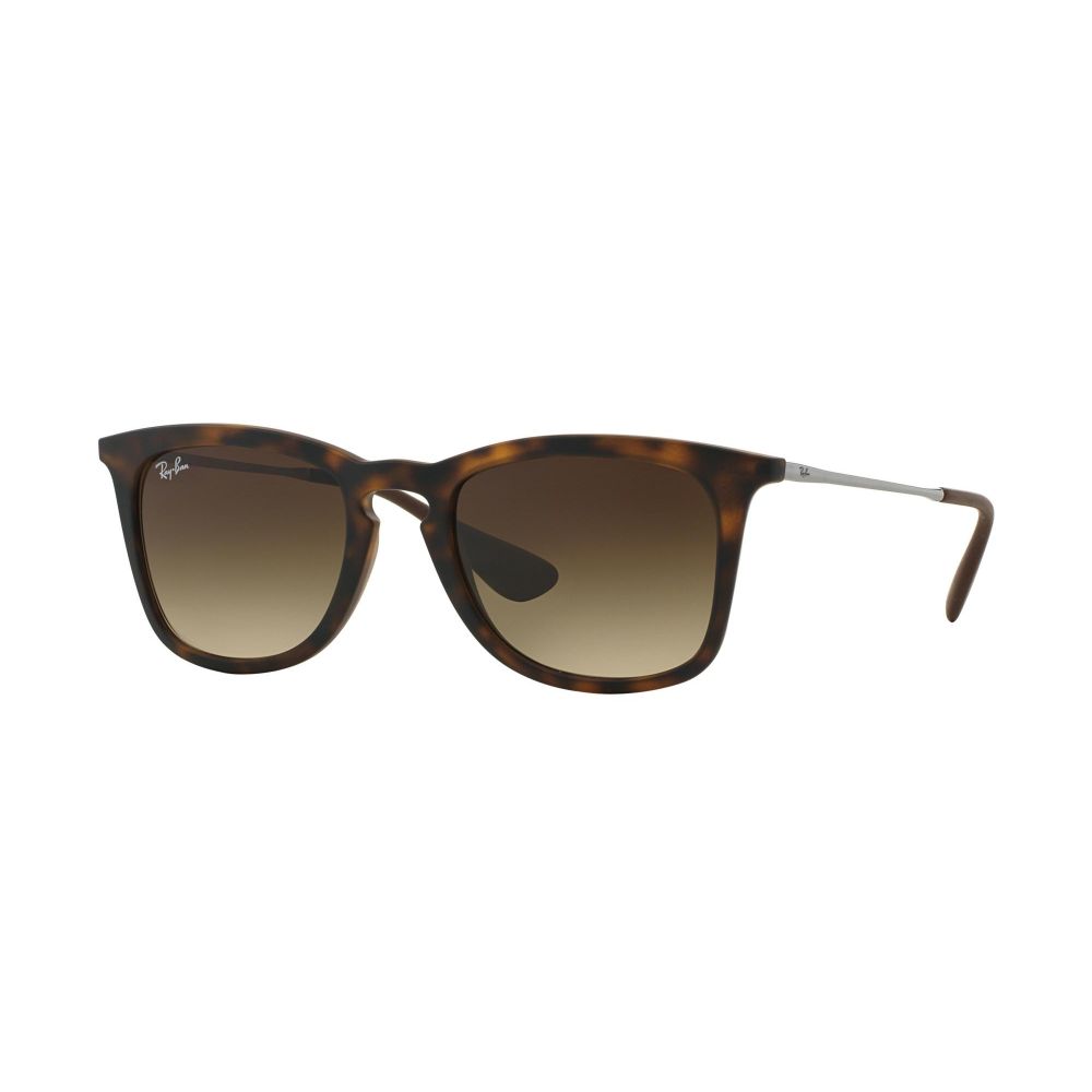 Ray-Ban Γυαλιά ηλίου RB 4221 865/13