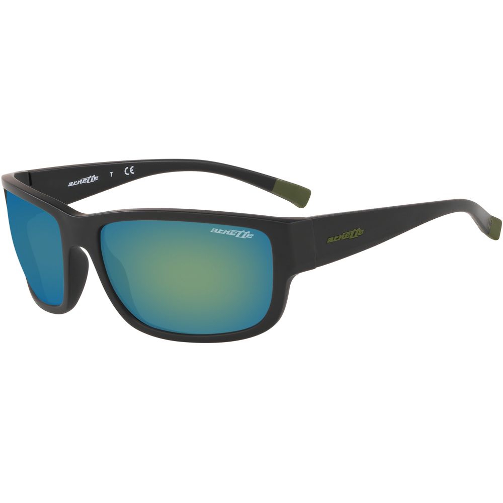 Arnette Gafas de sol BUSHWICK AN 4256 01/8N A