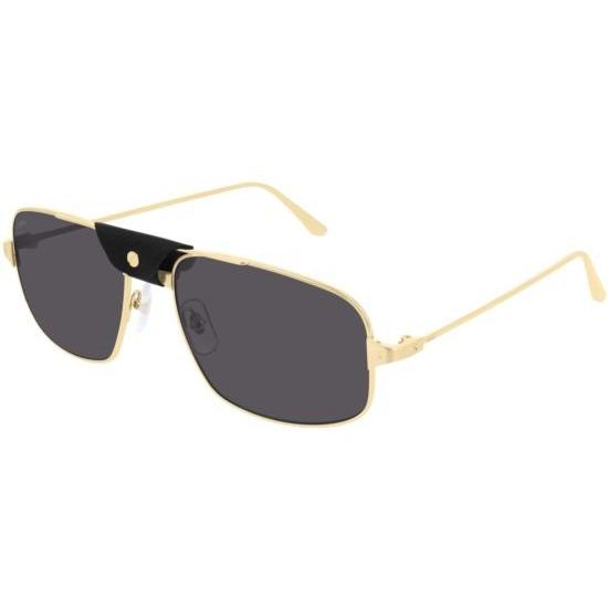 Cartier Gafas de sol CT0193S 001 ZB