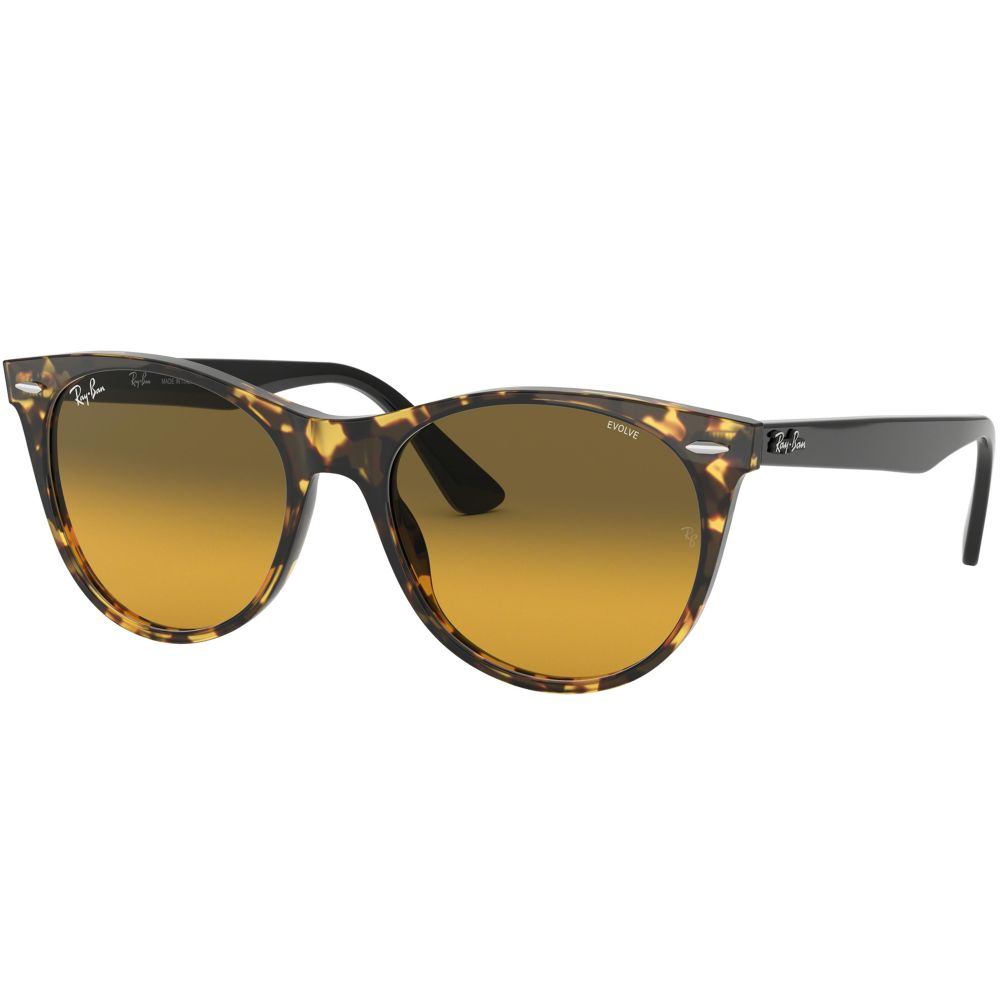 Ray-Ban Gafas de sol WAYFARER II RB 2185 EVOLVE LENSES 1248/AC