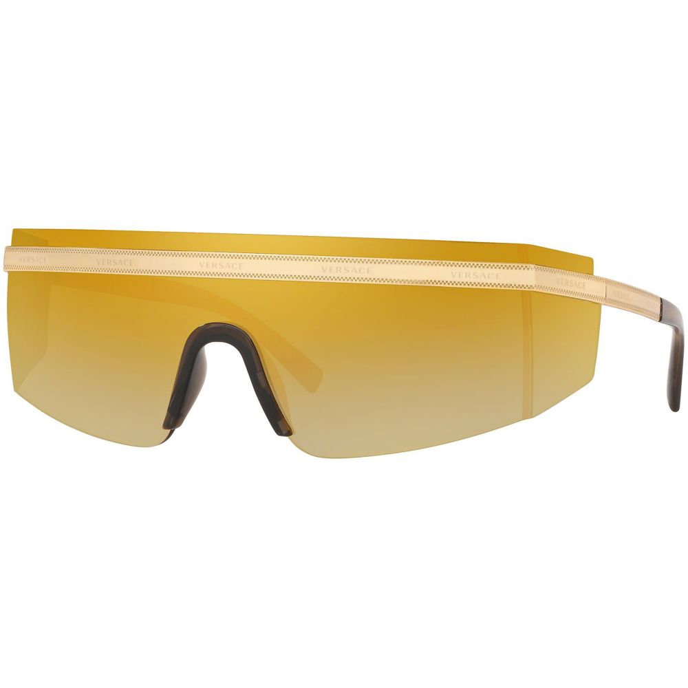 Versace Gafas de sol VERSACE EVERYWHERE VE 2208 1002/7P