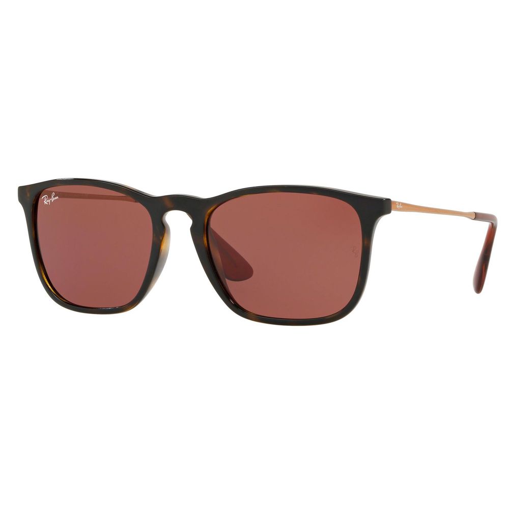 Ray-Ban Kacamata hitam CHRIS RB 4187 6391/75