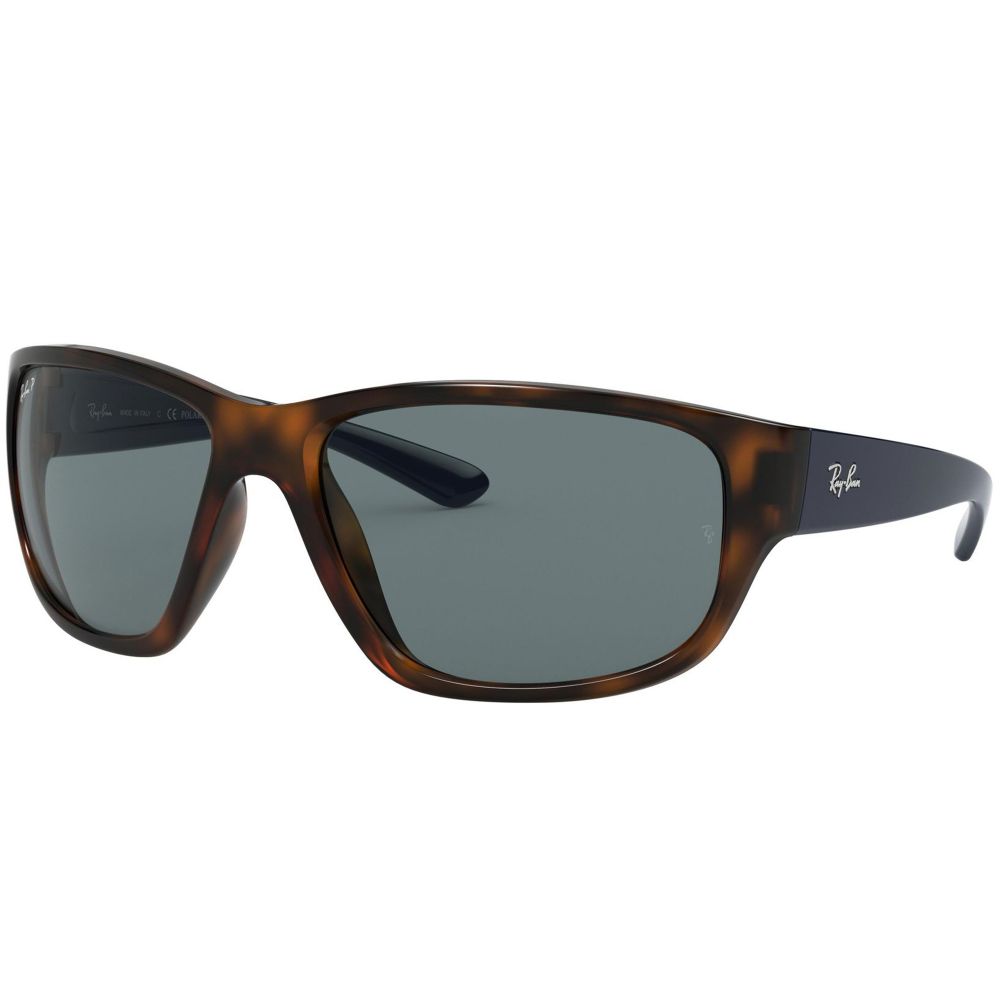 Ray-Ban Kacamata hitam RB 4300 6433/S2