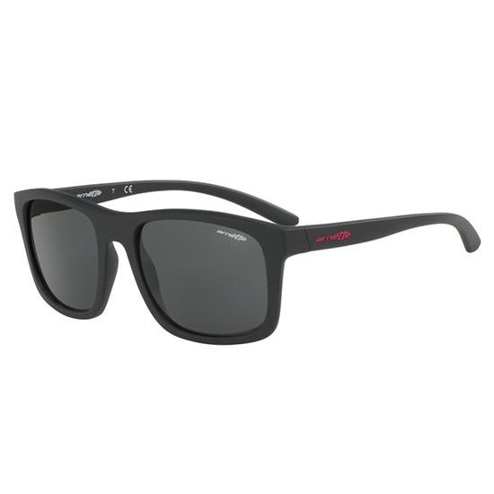 Arnette Occhiali da sole COMPLEMENTARY AN 4233 01/87 D