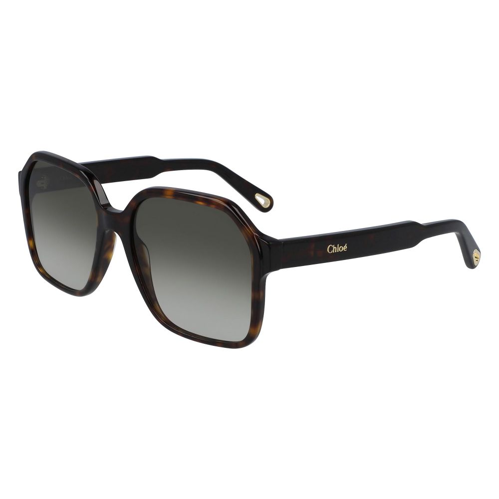 Chloe Saulesbrilles WILLOW CE761S 219