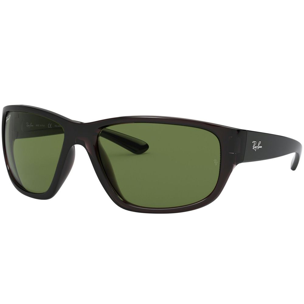 Ray-Ban Saulesbrilles RB 4300 705/O9