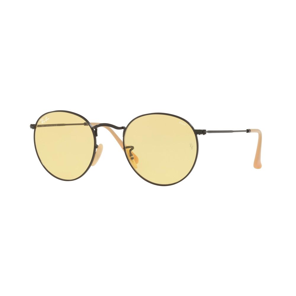 Ray-Ban Солнцезащитные Очки ROUND METAL RB 3447 EVOLVE LENSES 9066/4A